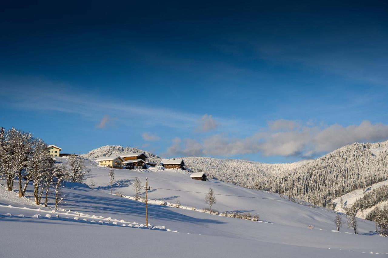 Paerchenbauernhof Horner Flachau Exterior foto