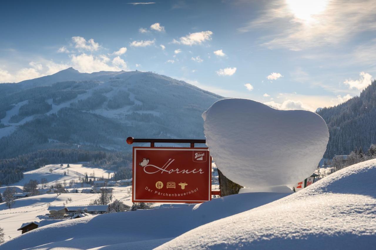 Paerchenbauernhof Horner Flachau Exterior foto